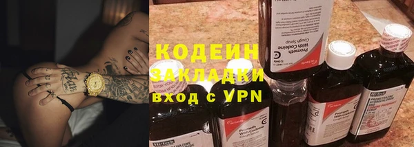 шишки Аркадак