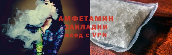 шишки Аркадак