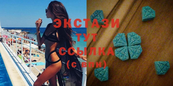 шишки Аркадак