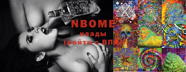 шишки Аркадак