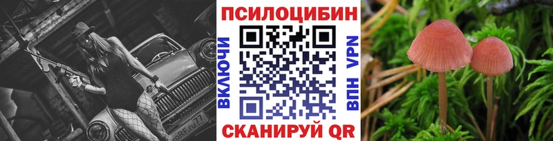 Купить закладки  Облучье  Псилоцибиновые грибы прущие грибы 